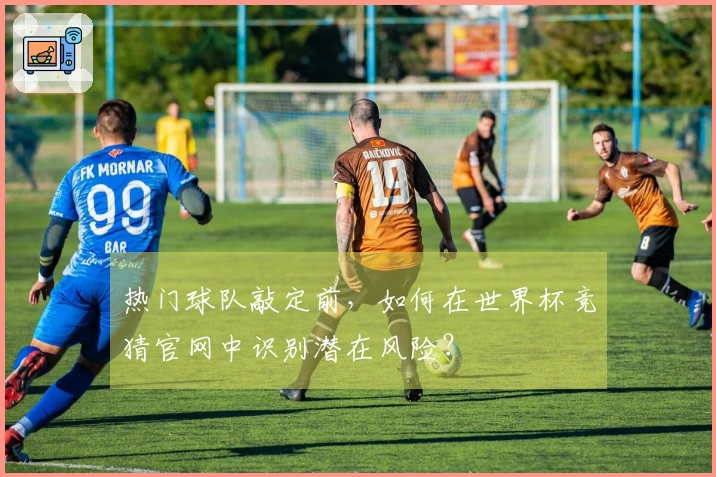 热门球队敲定前,如何在世界杯竞猜官网中识别潜在风险?